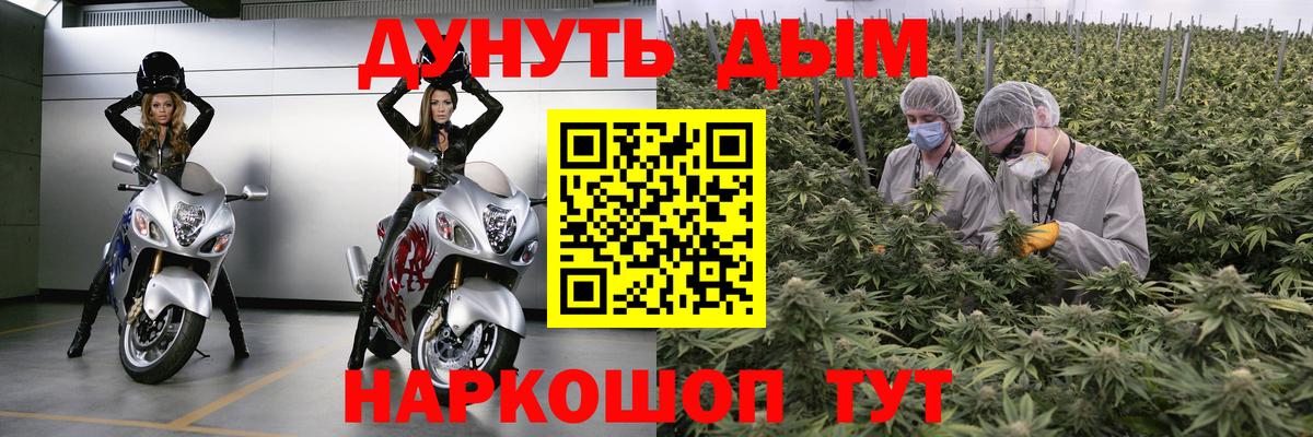 Марихуана сатива Десногорск